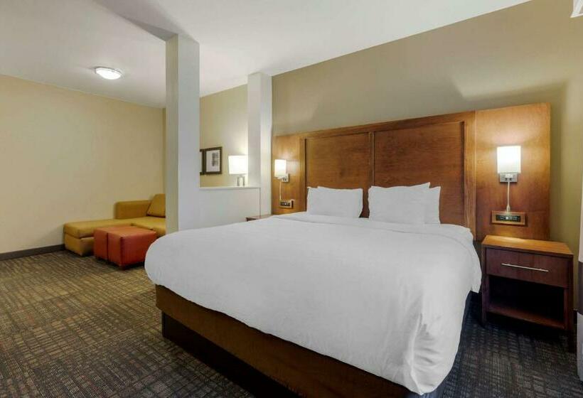 جناح سرير كينج, Comfort Suites Loveland