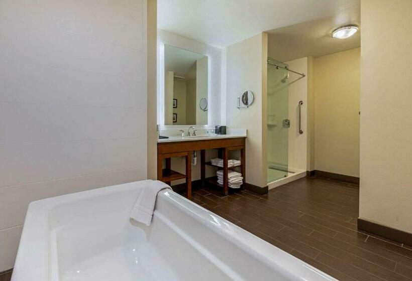 스위트 킹사이즈 침대, Comfort Suites Loveland