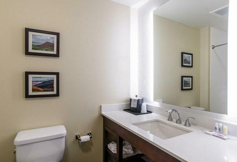 스위트 킹사이즈 침대, Comfort Suites Loveland