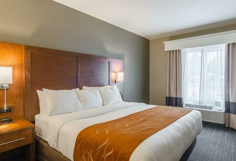 جناح سرير كينج, Comfort Suites Loveland