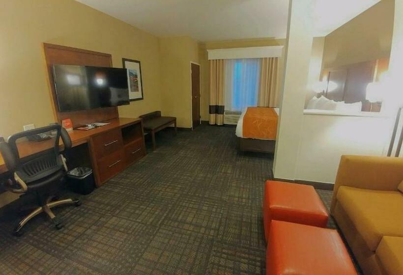 جناح سرير كينج, Comfort Suites Loveland