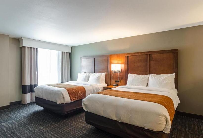 디럭스 스위트, Comfort Suites Loveland