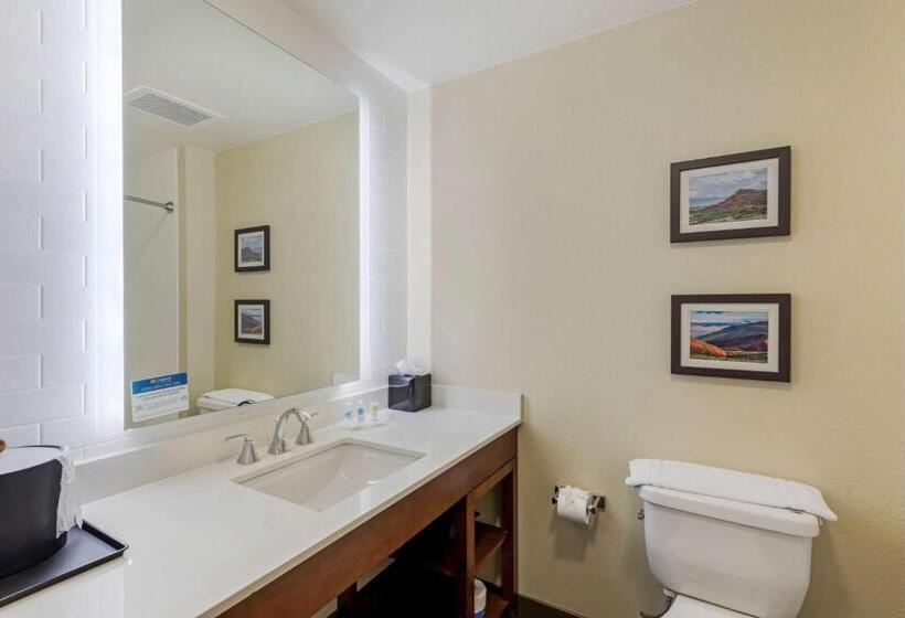 جناح سرير كينج, Comfort Suites Loveland