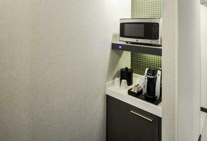 חדר סטנדרט, מיטת קינג, מותאם לאדם עם מוגבלויות, Hilton Garden Inn Roslyn