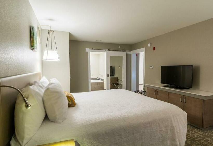 스탠다드 룸 킹사이즈 침대, Hilton Garden Inn Salina