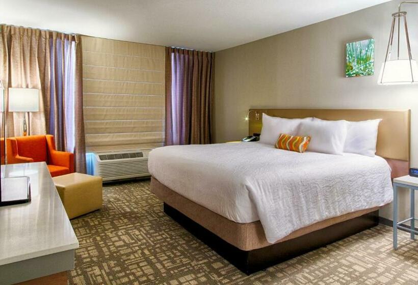 Номер Стандарт Кровать Кинг Адаптированный для Инвалидов, Hilton Garden Inn Salina
