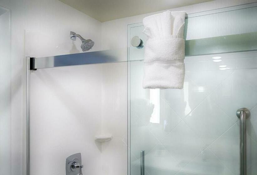 스탠다드 룸, Hilton Garden Inn Salina