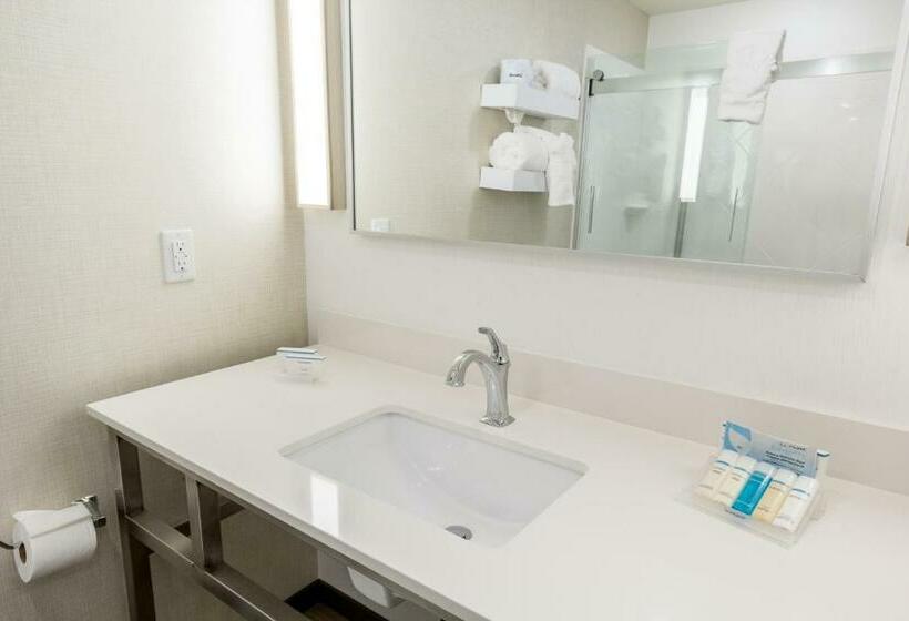 장애인을 위한 킹사이즈 침대 스탠다드 룸, Hilton Garden Inn Salina