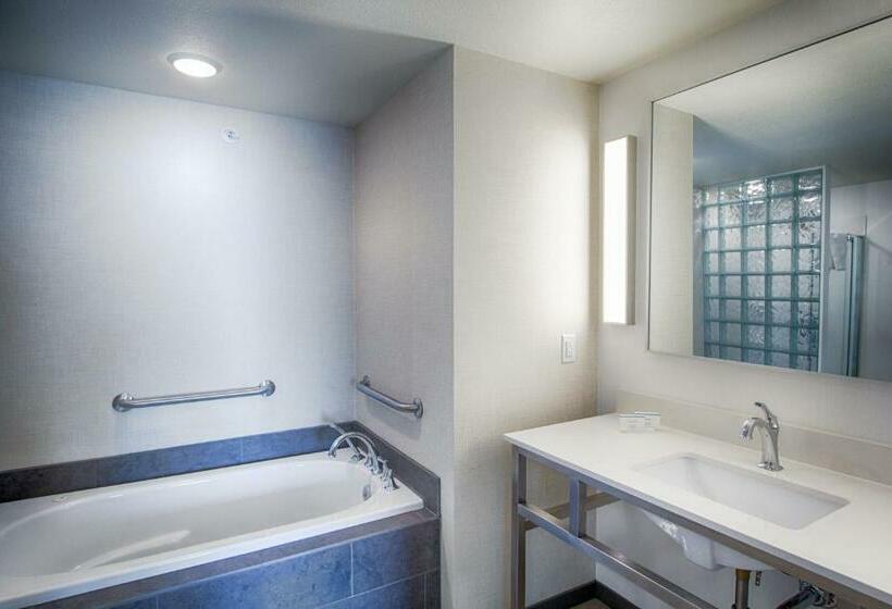 장애인을 위한 킹사이즈 침대 스탠다드 룸, Hilton Garden Inn Salina