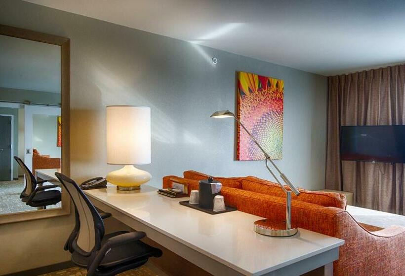 스탠다드 룸 킹사이즈 침대, Hilton Garden Inn Salina