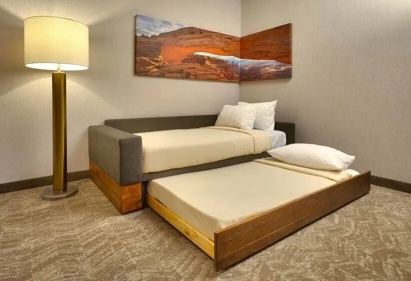 スイート, Springhill Suites By Marriott Moab