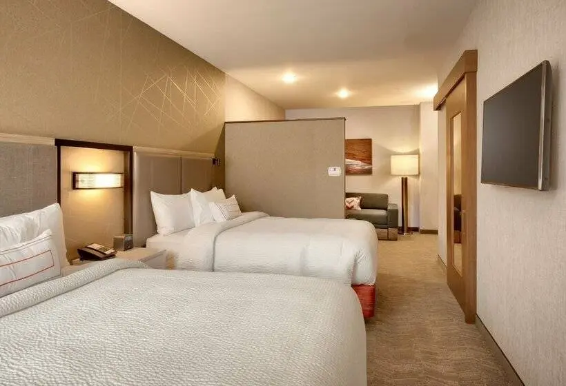 スイート, Springhill Suites By Marriott Moab