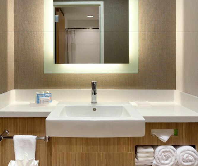 سوییت, Springhill Suites By Marriott Moab