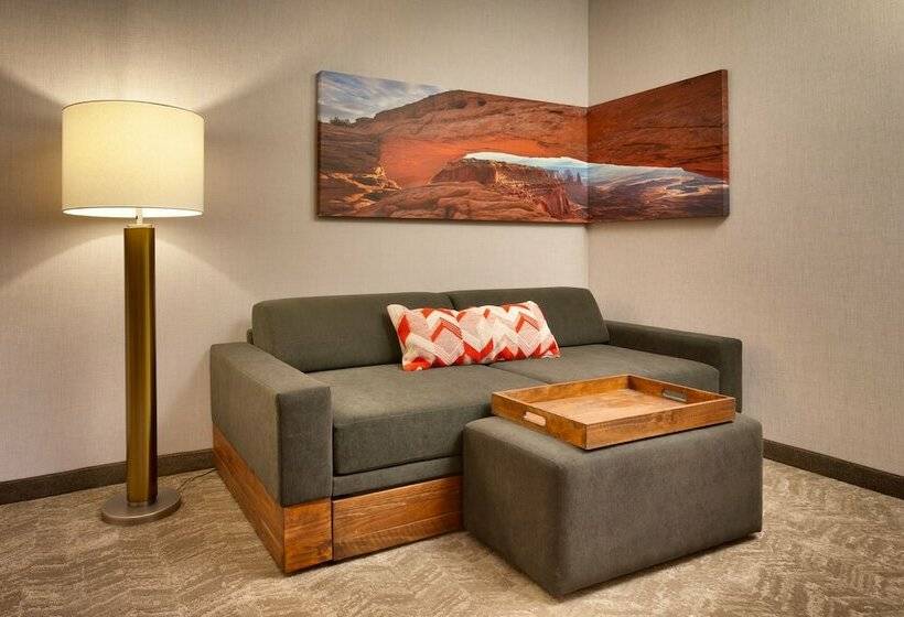 سوییت, Springhill Suites By Marriott Moab