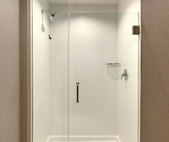 سوییت, Springhill Suites By Marriott Moab