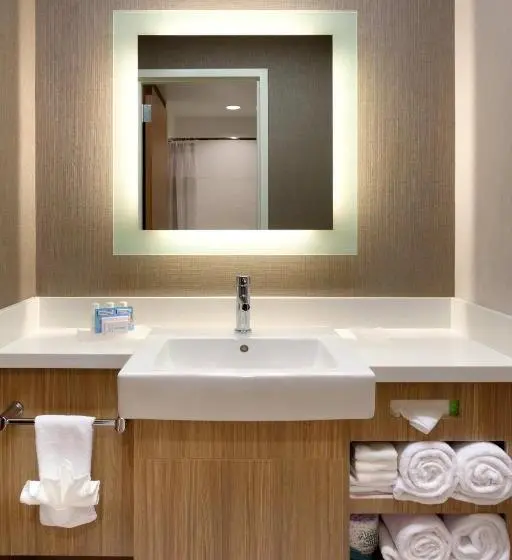 キングサイズベッドのスイートルーム, Springhill Suites By Marriott Moab