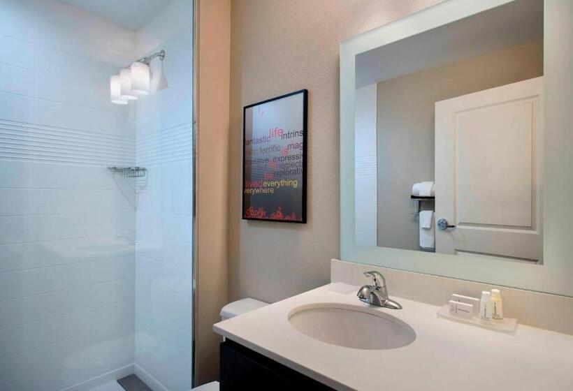 חדר סטודיו סטנדרד, Towneplace Suites By Marriott Nashville Goodlettsville