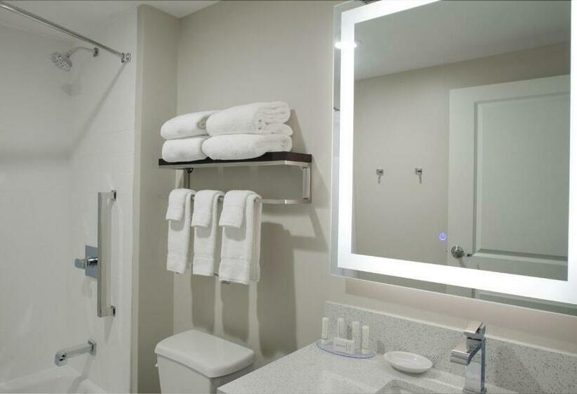 Студио Стандарт Кровать Кинг, Towneplace Suites By Marriottdetroit Canton