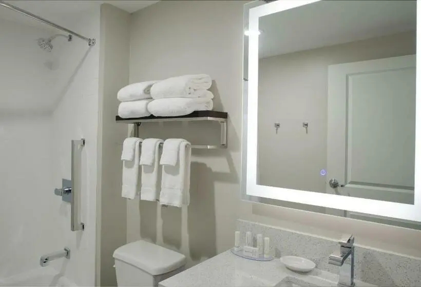 Standard-studio King-vuode, Towneplace Suites By Marriottdetroit Canton