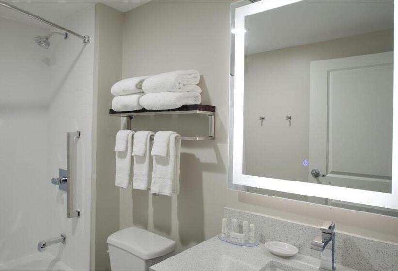 Студия Стандарт, Towneplace Suites By Marriottdetroit Canton