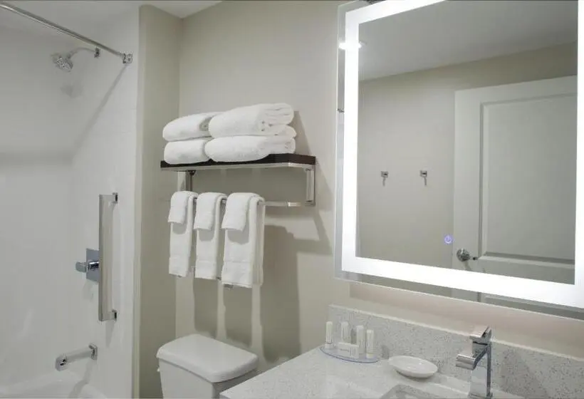 Standard-studio, Towneplace Suites By Marriottdetroit Canton