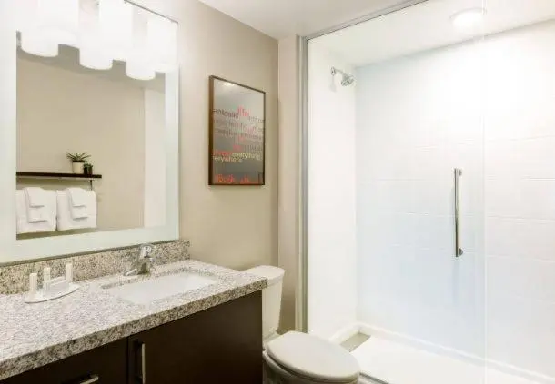 Standard-studio, Towneplace Suites By Marriottdetroit Canton