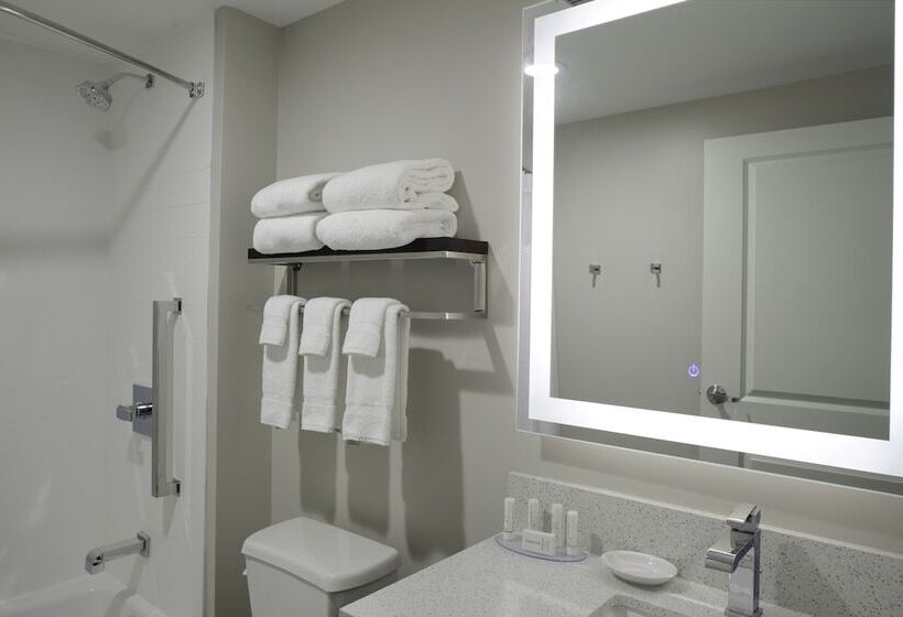 Люкс 2 Спальни, Towneplace Suites By Marriottdetroit Canton