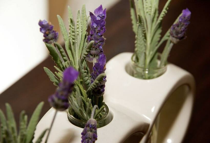 StandaardKamer, Beetleloop Guest House