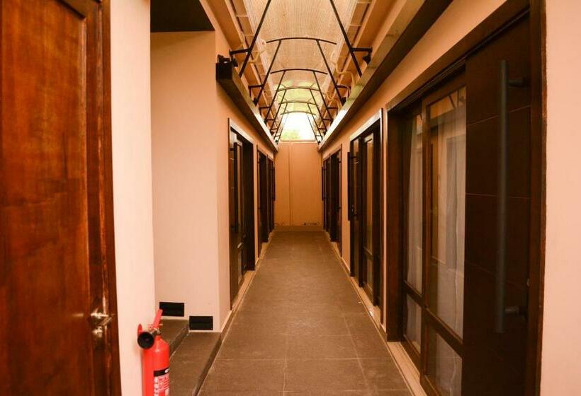 اتاق لوکس, Lvis Blancura