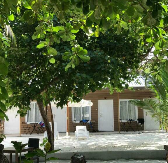 اتاق اقتصادی با چشمانداز دریا, Lvis Blancura