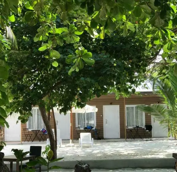 اتاق اقتصادی با چشم‌انداز دریا, Lvis Blancura