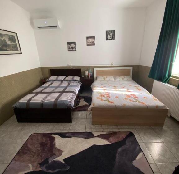 Номер Стандарт, O Mie De Lacuri