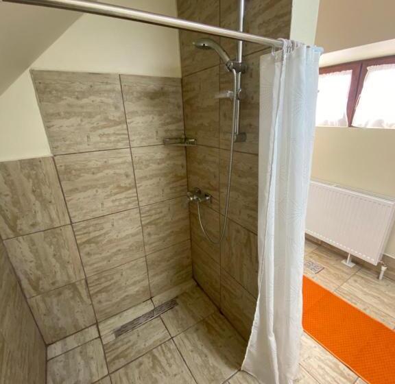 Номер Стандарт, O Mie De Lacuri