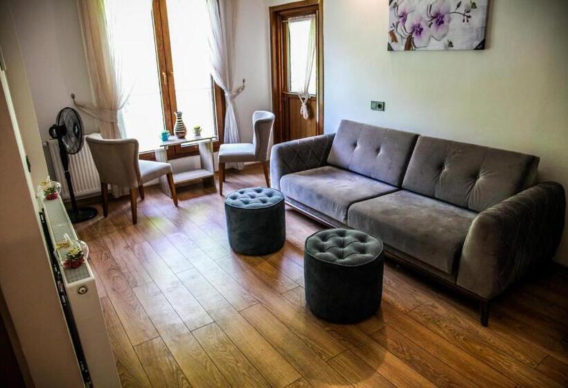 شقة ديلوكس غرفة واحدة, Elegant Residence