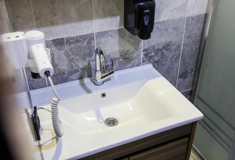 شقة ديلوكس غرفة واحدة, Elegant Residence