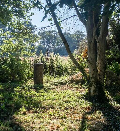 标准间, Gîte De Charme La Cour Souveraine