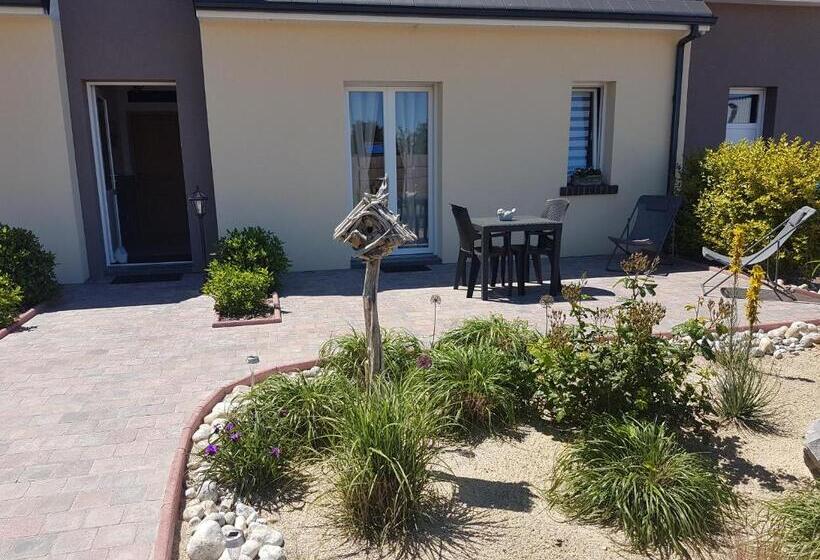 Номер Стандарт Адаптированный для Инвалидов, Carpe Diem