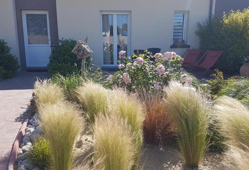 Номер Стандарт, Carpe Diem