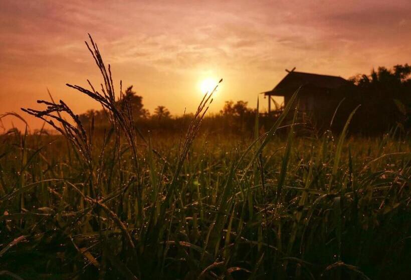 Standard Szoba Erkéllyel, Kratomrimtung Homestay กระท่อมริมทุ่งโฮมสเตย์