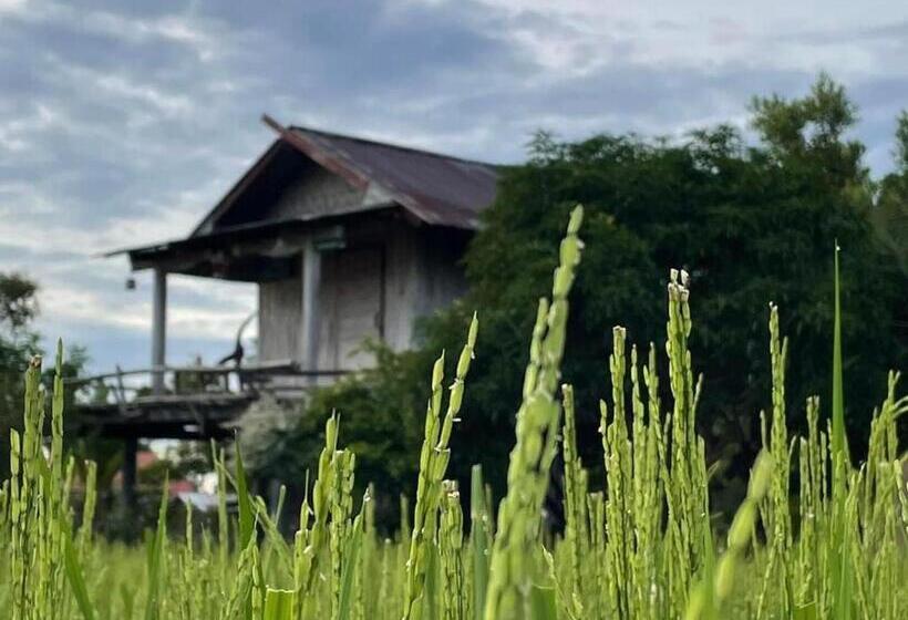 Standard Szoba Erkéllyel, Kratomrimtung Homestay กระท่อมริมทุ่งโฮมสเตย์