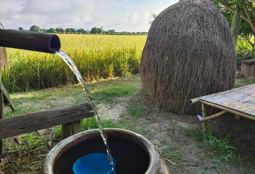 Egyágyas Standard Szoba, Kratomrimtung Homestay กระท่อมริมทุ่งโฮมสเตย์