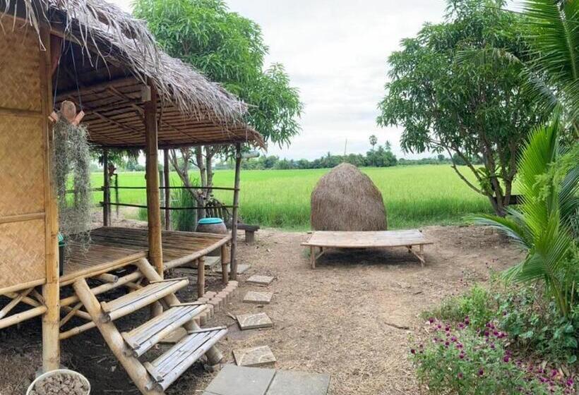Одноместный Номер Basic, Kratomrimtung Homestay กระท่อมริมทุ่งโฮมสเตย์