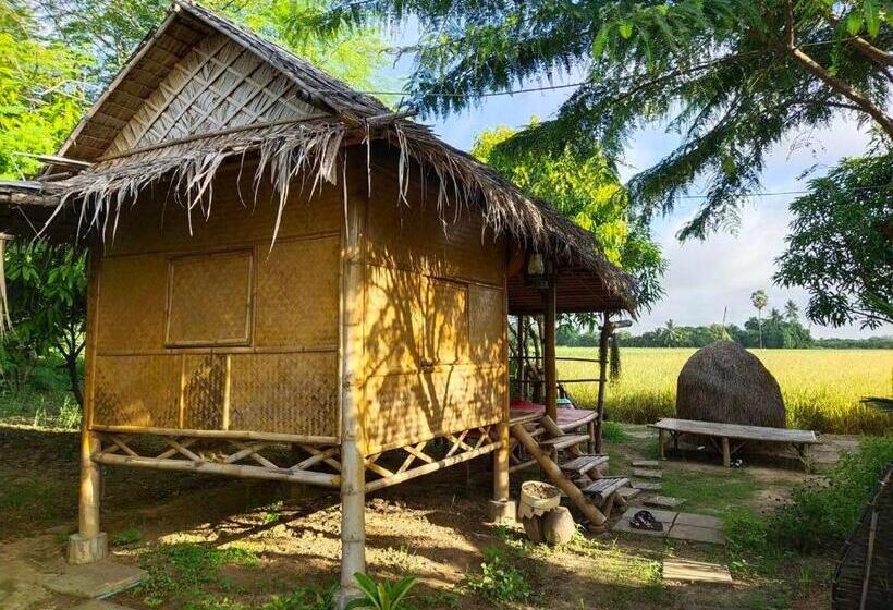 Egyágyas Standard Szoba, Kratomrimtung Homestay กระท่อมริมทุ่งโฮมสเตย์