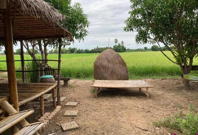 Egyágyas Standard Szoba, Kratomrimtung Homestay กระท่อมริมทุ่งโฮมสเตย์