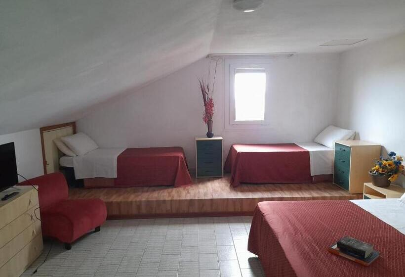 4 Bett Economy Zimmer, Antony