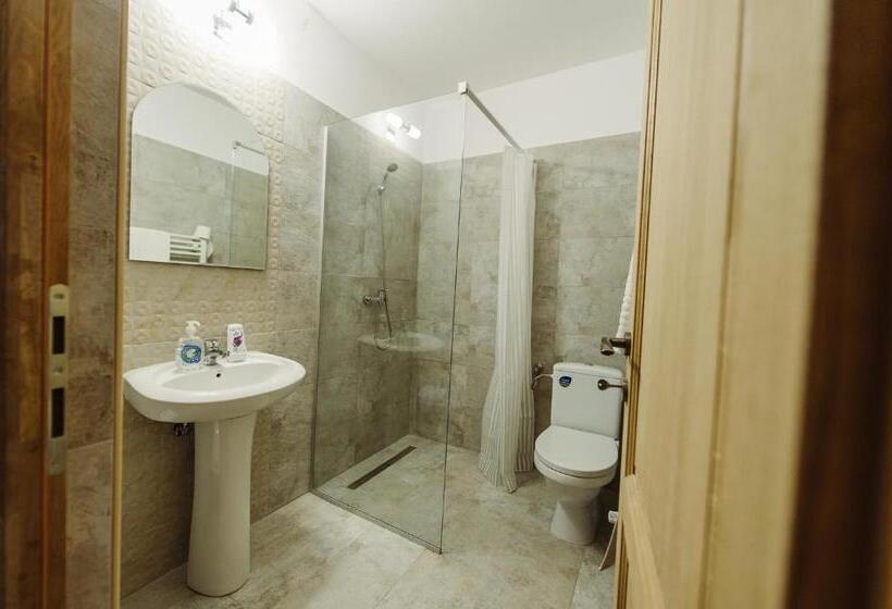 带大床的标准间, Pensiunea Casa Negrea