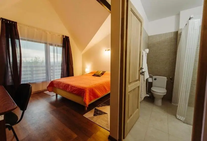 Standard-huone King-vuode, Pensiunea Casa Negrea