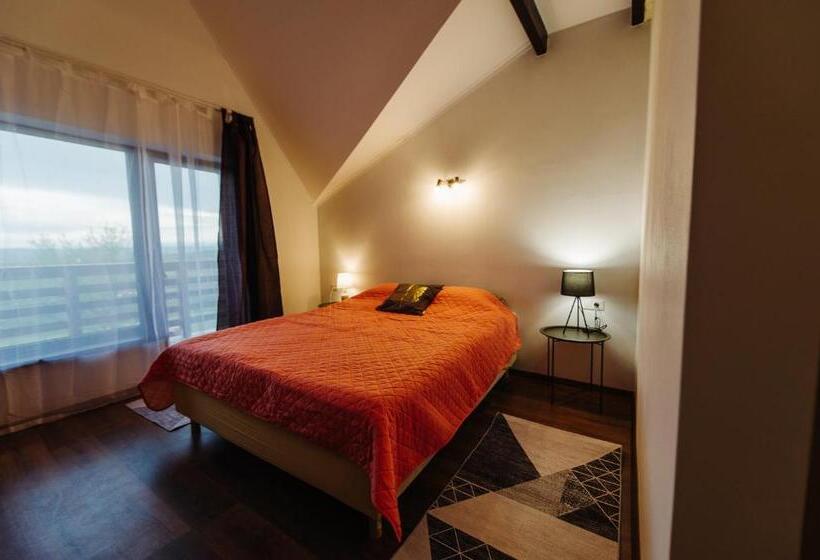 带大床的标准间, Pensiunea Casa Negrea