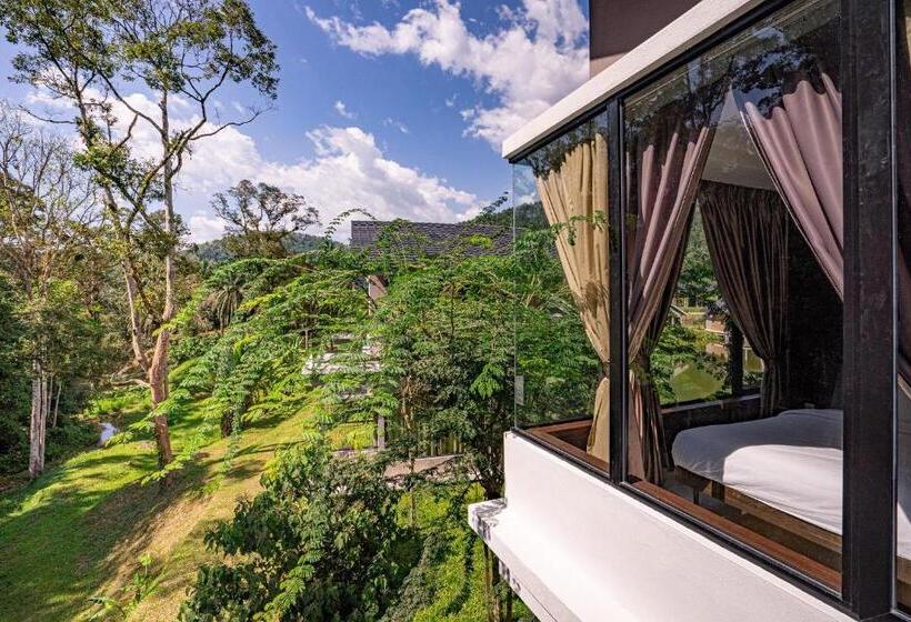 Standart Oda, Sementra Hot Spring Nature Resort