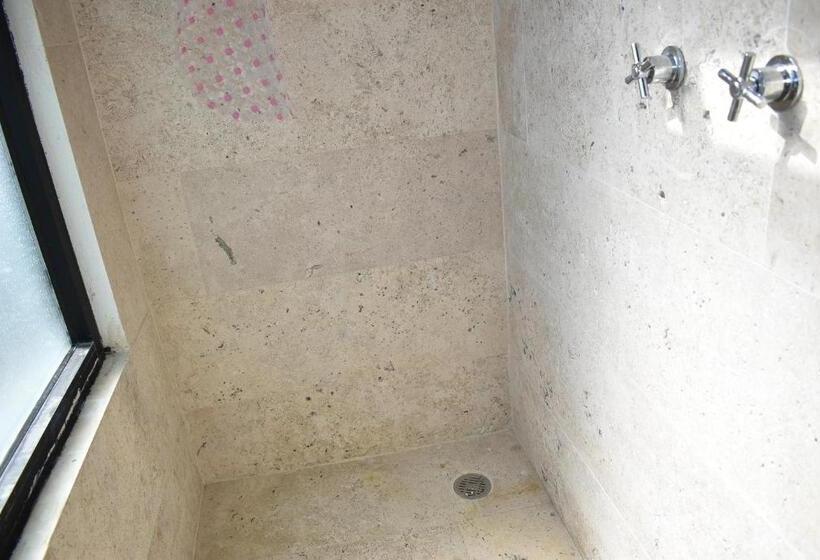 豪华房间, Itzae Antigua San Miguel De Allende Dog Friendly